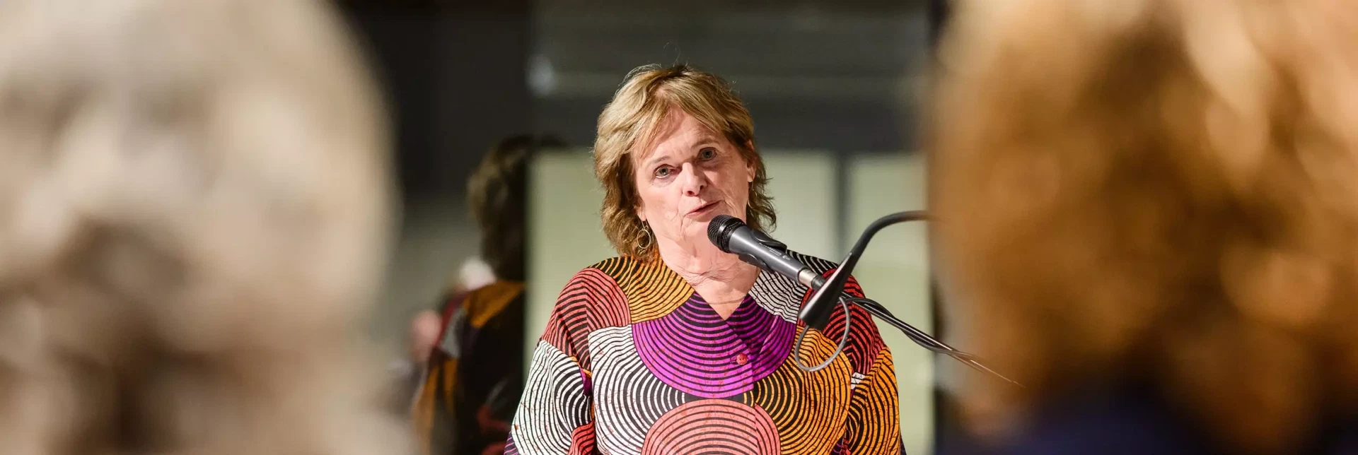 Lezing over Erwin de Vries door Hanneke Oosterhof