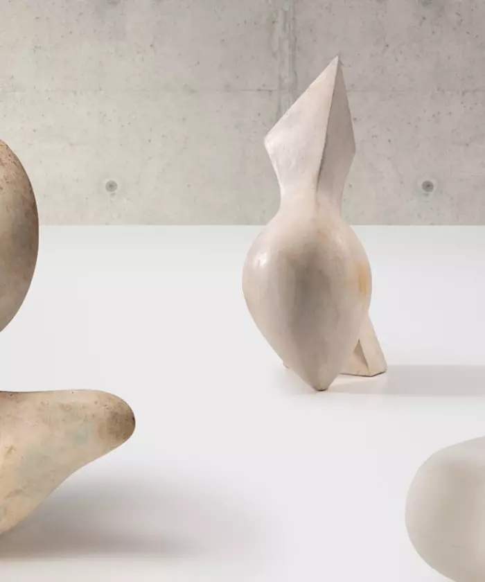 Selectie schenking Hans Arp