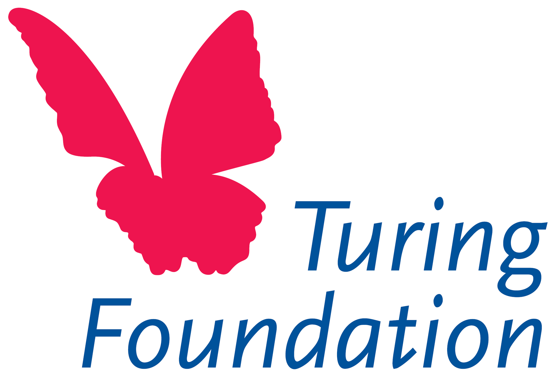 Logo Turing Foundation