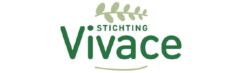 Stichting vv web