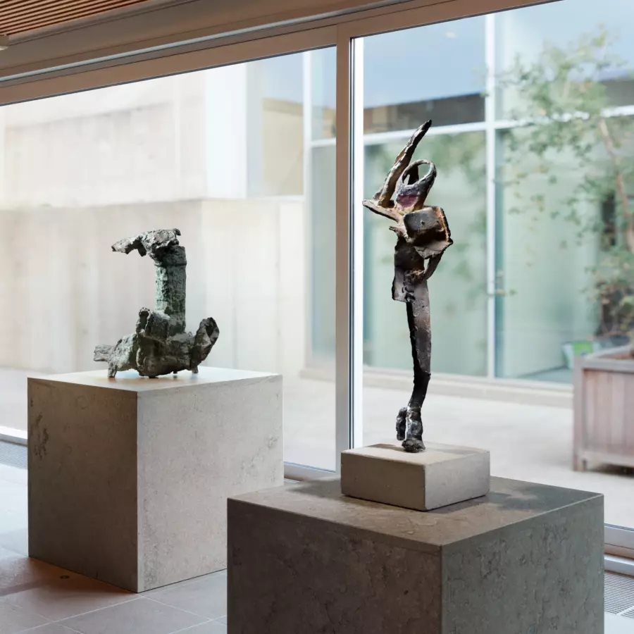 Lezing over Erwin de Vries door Hanneke Oosterhof