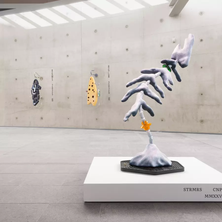 Persbericht Magali Reus - Tales and Reals